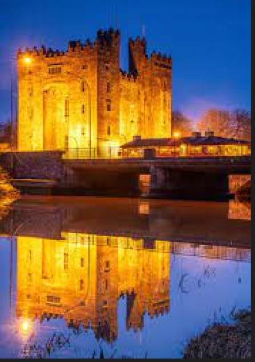 Bunratty Castle Gardens Villa Ngoại thất bức ảnh
